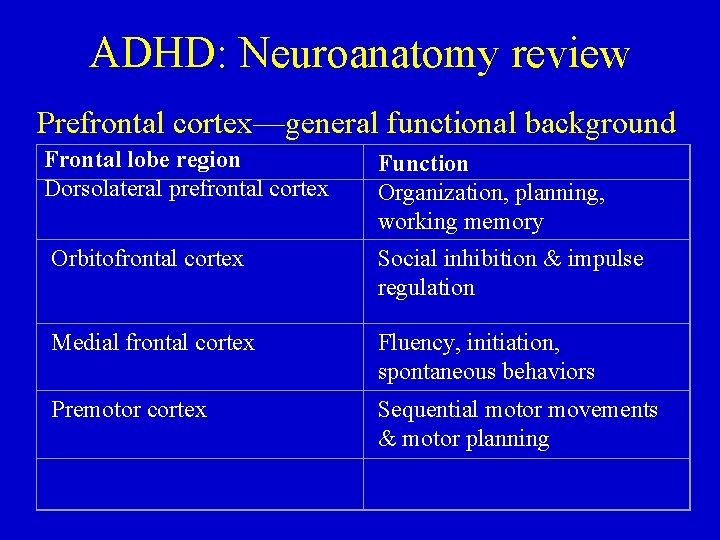 ADHD: Neuroanatomy review Prefrontal cortex—general functional background Frontal lobe region Dorsolateral prefrontal cortex Function