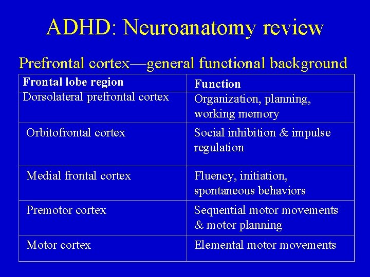 ADHD: Neuroanatomy review Prefrontal cortex—general functional background Frontal lobe region Dorsolateral prefrontal cortex Function