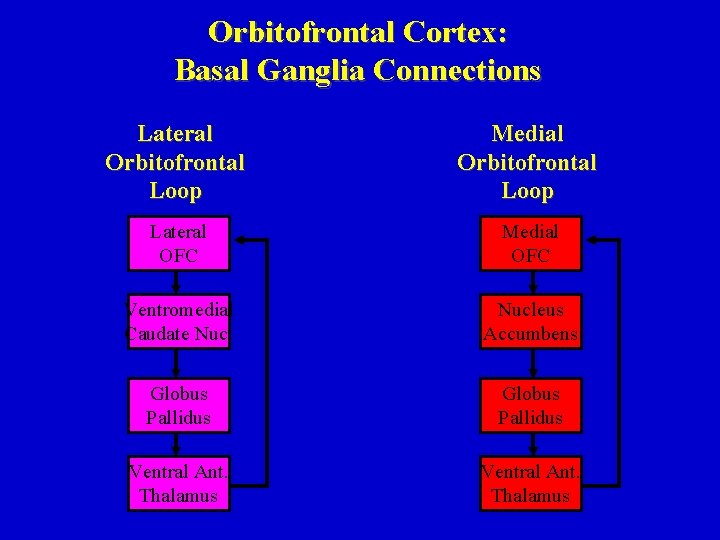 Orbitofrontal Cortex: Basal Ganglia Connections Lateral Orbitofrontal Loop Medial Orbitofrontal Loop Lateral OFC Medial