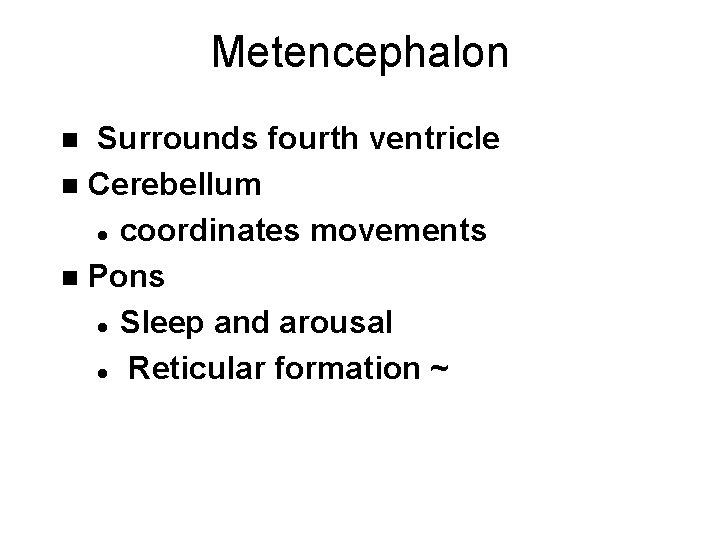 Metencephalon Surrounds fourth ventricle n Cerebellum l coordinates movements n Pons l Sleep and