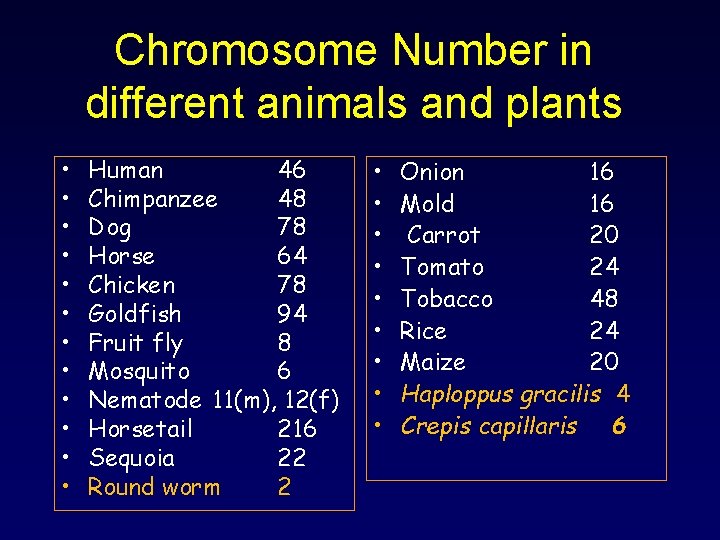 Chromosome Number in different animals and plants • • • Human 46 Chimpanzee 48