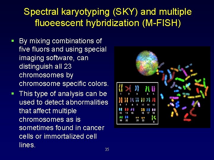 Spectral karyotyping (SKY) and multiple fluoeescent hybridization (M-FISH) § By mixing combinations of five