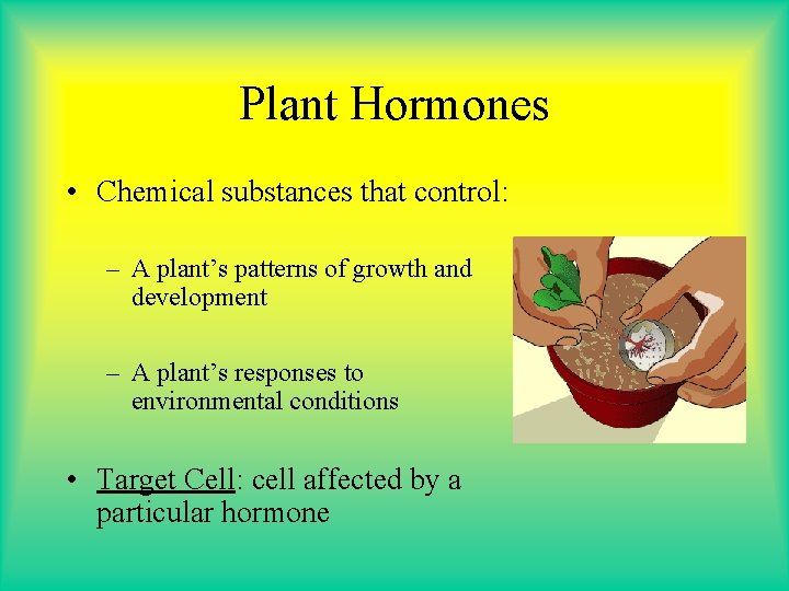 Plant Hormones • Chemical substances that control: – A plant’s patterns of growth and Plant Hormones • Chemical substances that control: – A plant’s patterns of growth and