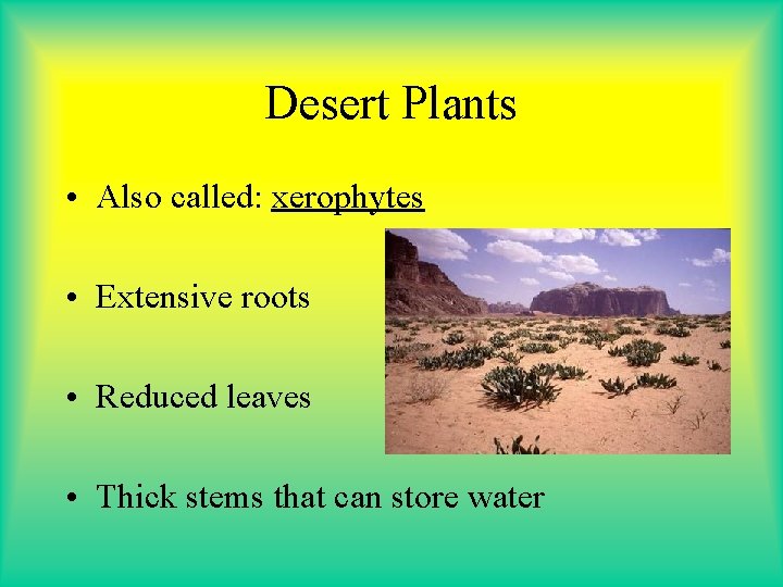 Desert Plants • Also called: xerophytes • Extensive roots • Reduced leaves • Thick Desert Plants • Also called: xerophytes • Extensive roots • Reduced leaves • Thick