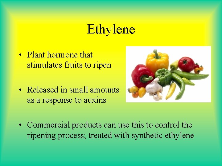 Ethylene • Plant hormone that stimulates fruits to ripen • Released in small amounts Ethylene • Plant hormone that stimulates fruits to ripen • Released in small amounts