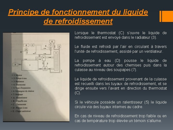 Principe de fonctionnement du liquide de refroidissement Lorsque le thermostat (C) s’ouvre le liquide