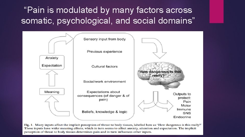 “Pain is modulated by many factors across somatic, psychological, and social domains” 