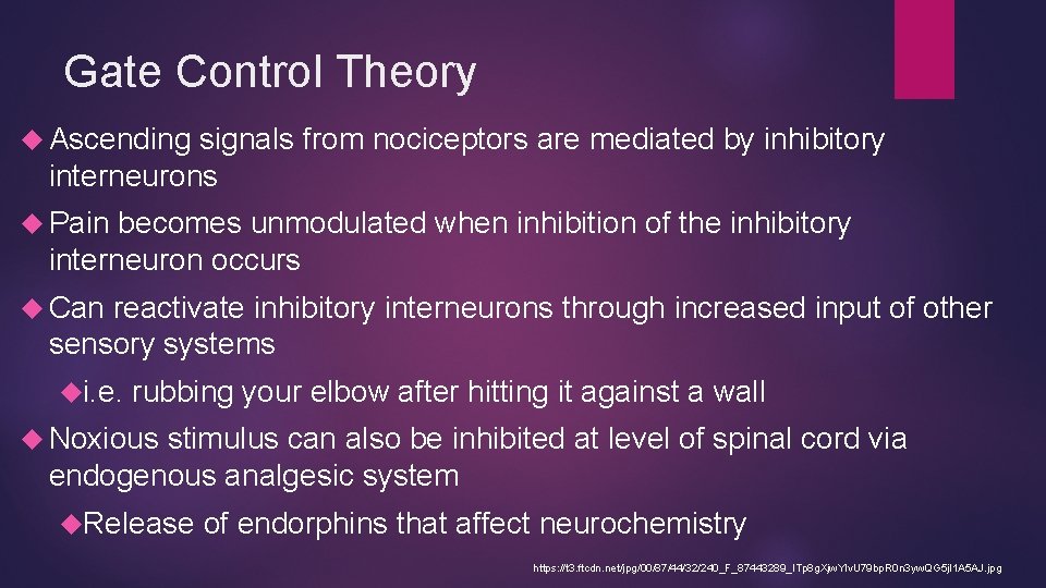 Gate Control Theory Ascending signals from nociceptors are mediated by inhibitory interneurons Pain becomes