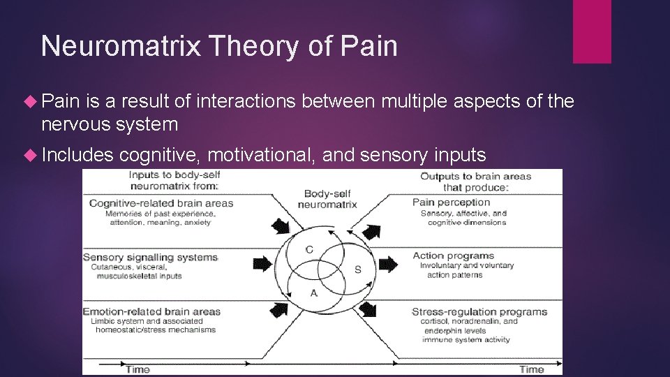 Neuromatrix Theory of Pain is a result of interactions between multiple aspects of the