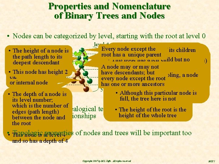 Properties and Nomenclature of Binary Trees and Nodes • Nodes can be categorized by