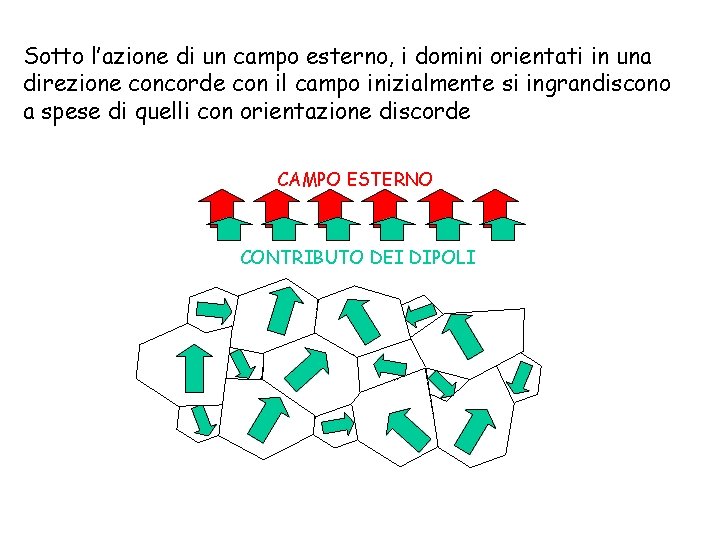 Sotto l’azione di un campo esterno, i domini orientati in una direzione concorde con