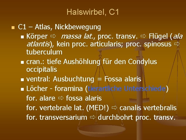 Halswirbel, C 1 – Atlas, Nickbewegung Körper massa lat. , proc. transv. Flügel (ala