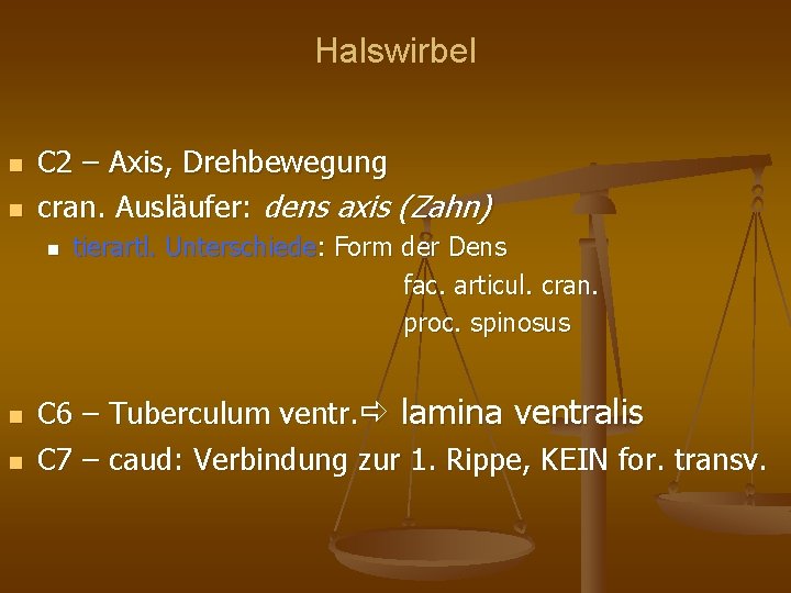 Halswirbel C 2 – Axis, Drehbewegung cran. Ausläufer: dens axis (Zahn) tierartl. Unterschiede: Form