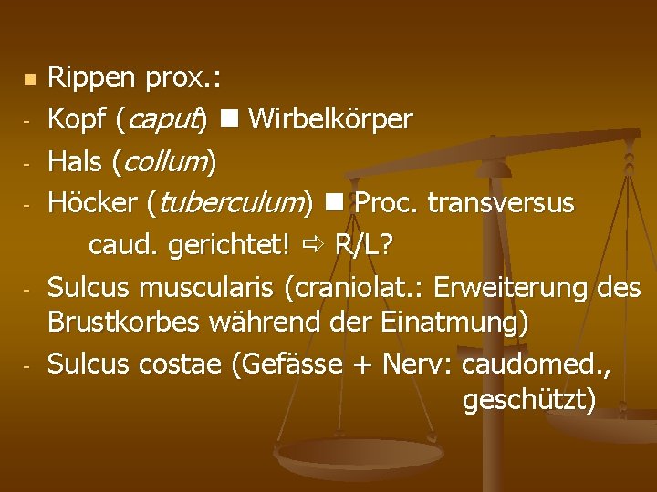  - - - Rippen prox. : Kopf (caput) Wirbelkörper Hals (collum) Höcker (tuberculum)