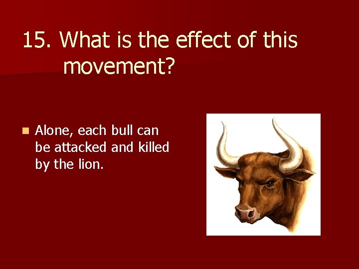 15. What is the effect of this movement? n Alone, each bull can be