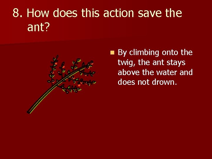 8. How does this action save the ant? n By climbing onto the twig,