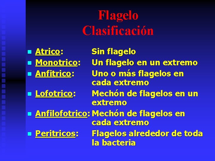 Flagelo Clasificación n n n Atrico: Monotrico: Anfitrico: Sin flagelo Un flagelo en un