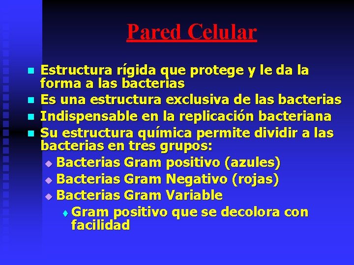 Pared Celular n n Estructura rígida que protege y le da la forma a