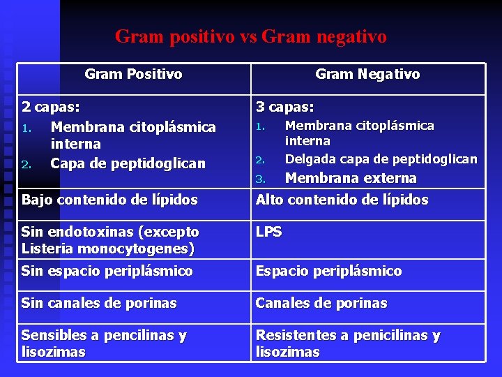 Gram positivo vs Gram negativo Gram Positivo 2 capas: 1. Membrana citoplásmica interna 2.