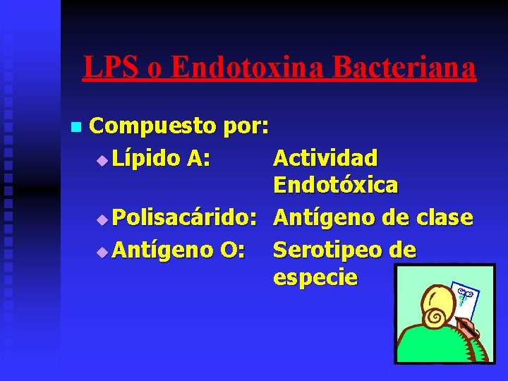 LPS o Endotoxina Bacteriana n Compuesto por: u Lípido A: Actividad Endotóxica u Polisacárido: