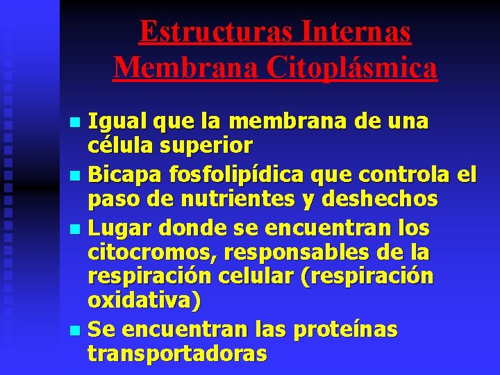 Estructuras Internas Membrana Citoplásmica Igual que la membrana de una célula superior n Bicapa