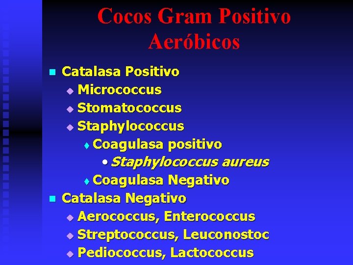 Cocos Gram Positivo Aeróbicos n n Catalasa Positivo u Micrococcus u Stomatococcus u Staphylococcus