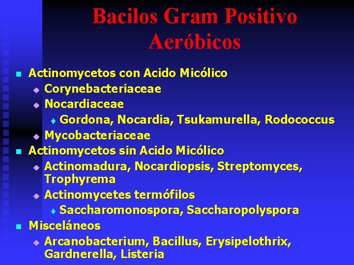 Bacilos Gram Positivo Aeróbicos n n n Actinomycetos con Acido Micólico u Corynebacteriaceae u