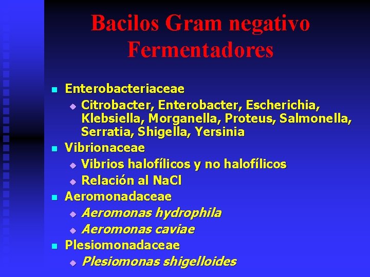 Bacilos Gram negativo Fermentadores n n n Enterobacteriaceae u Citrobacter, Enterobacter, Escherichia, Klebsiella, Morganella,