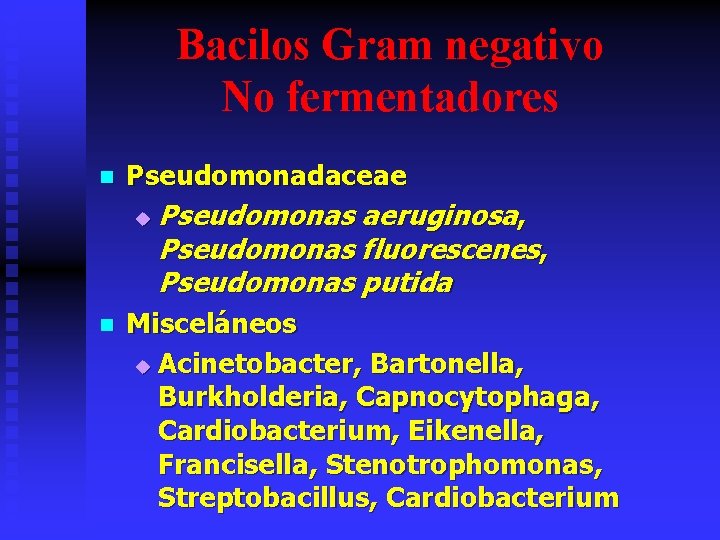 Bacilos Gram negativo No fermentadores n Pseudomonadaceae u n Pseudomonas aeruginosa, Pseudomonas fluorescenes, Pseudomonas