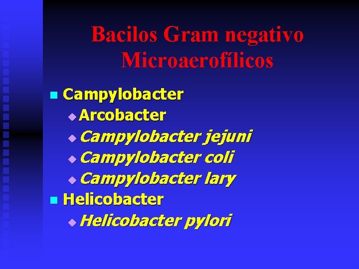 Bacilos Gram negativo Microaerofílicos n Campylobacter u Arcobacter Campylobacter jejuni u Campylobacter coli u