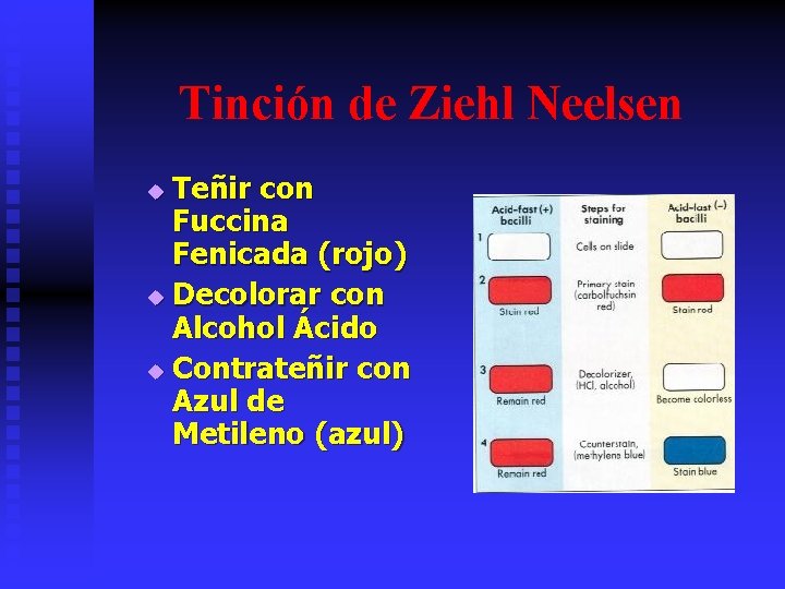 Tinción de Ziehl Neelsen Teñir con Fuccina Fenicada (rojo) u Decolorar con Alcohol Ácido