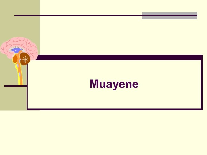 Muayene 