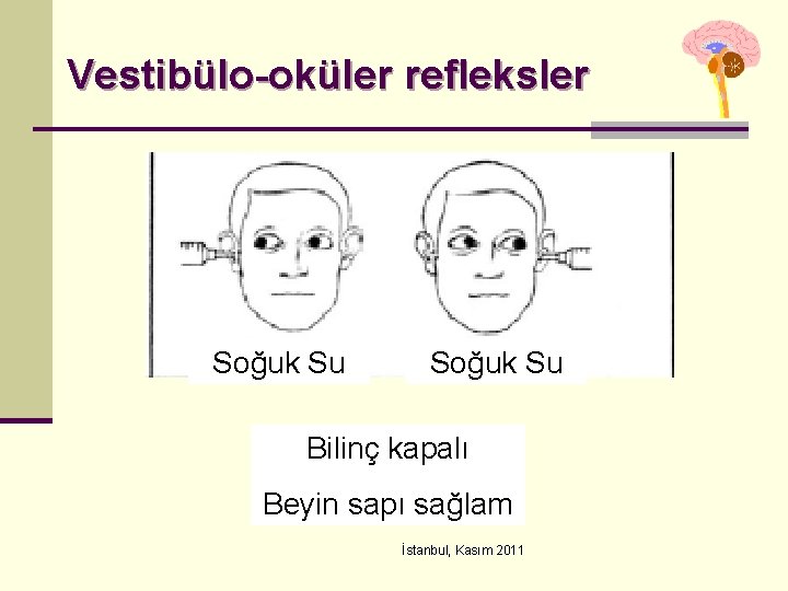 Vestibülo-oküler refleksler Soğuk Su Bilinç kapalı Beyin sapı sağlam İstanbul, Kasım 2011 