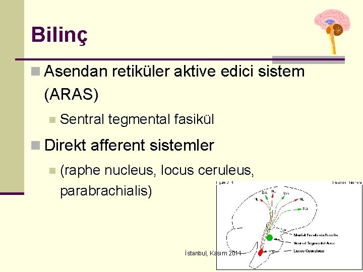 Bilinç n Asendan retiküler aktive edici sistem (ARAS) n Sentral tegmental fasikül n Direkt