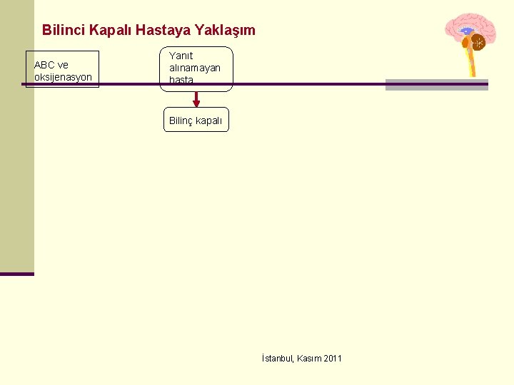 Bilinci Kapalı Hastaya Yaklaşım ABC ve oksijenasyon Yanıt alınamayan hasta Bilinç kapalı İstanbul, Kasım