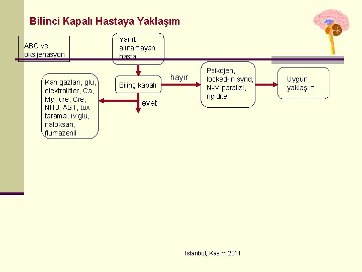 Bilinci Kapalı Hastaya Yaklaşım ABC ve oksijenasyon Kan gazları, glu, elektrolitler, Ca, Mg, üre,