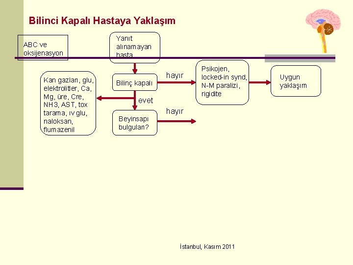 Bilinci Kapalı Hastaya Yaklaşım ABC ve oksijenasyon Kan gazları, glu, elektrolitler, Ca, Mg, üre,