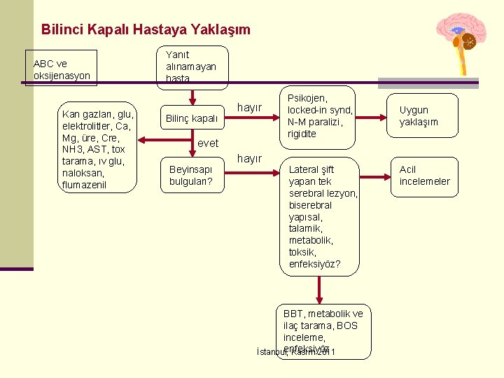 Bilinci Kapalı Hastaya Yaklaşım ABC ve oksijenasyon Kan gazları, glu, elektrolitler, Ca, Mg, üre,