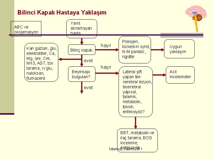 Bilinci Kapalı Hastaya Yaklaşım ABC ve oksijenasyon Kan gazları, glu, elektrolitler, Ca, Mg, üre,