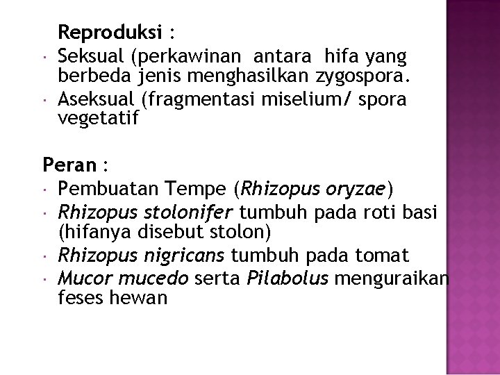  Reproduksi : Seksual (perkawinan antara hifa yang berbeda jenis menghasilkan zygospora. Aseksual (fragmentasi