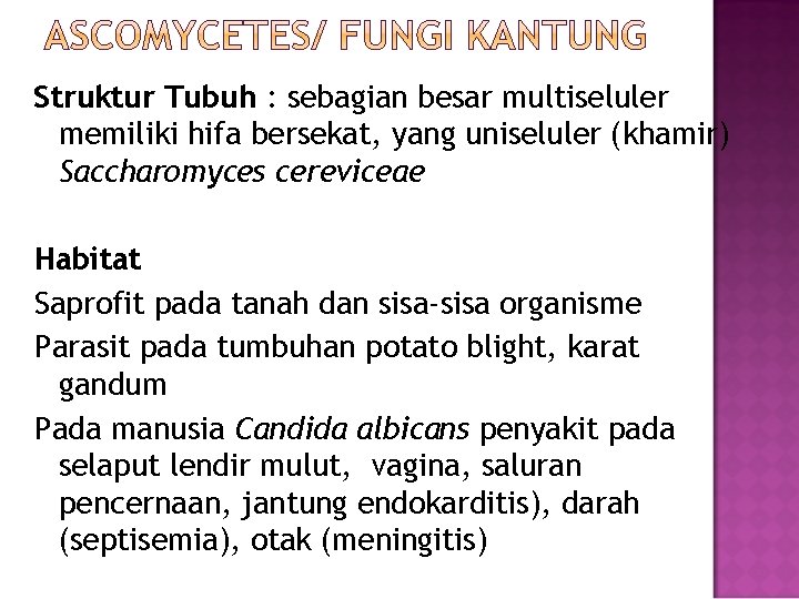 Struktur Tubuh : sebagian besar multiseluler memiliki hifa bersekat, yang uniseluler (khamir) Saccharomyces cereviceae