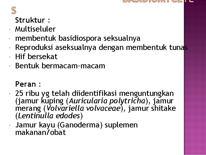  Struktur : Multiseluler membentuk basidiospora seksualnya Reproduksi aseksualnya dengan membentuk tunas Hif bersekat