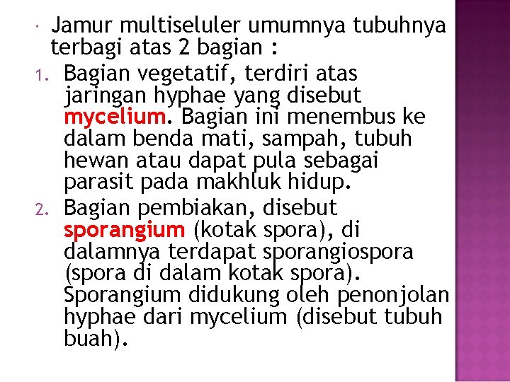 Jamur multiseluler umumnya tubuhnya terbagi atas 2 bagian : 1. Bagian vegetatif, terdiri atas