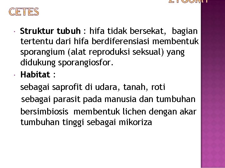  Struktur tubuh : hifa tidak bersekat, bagian tertentu dari hifa berdiferensiasi membentuk sporangium