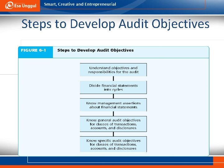 Steps to Develop Audit Objectives 