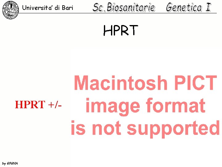Universita’ di Bari HPRT +/- by GP&NA 