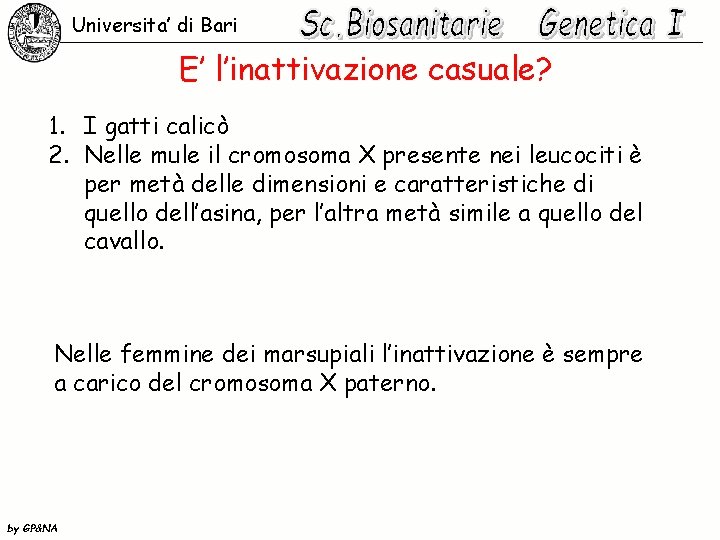 Universita’ di Bari E’ l’inattivazione casuale? 1. I gatti calicò 2. Nelle mule il