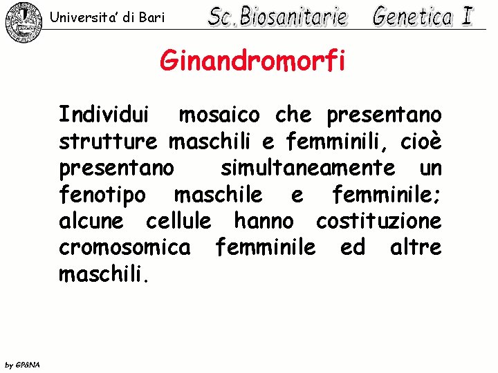 Universita’ di Bari Ginandromorfi Individui mosaico che presentano strutture maschili e femminili, cioè presentano