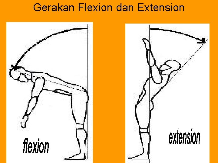 Gerakan Flexion dan Extension 