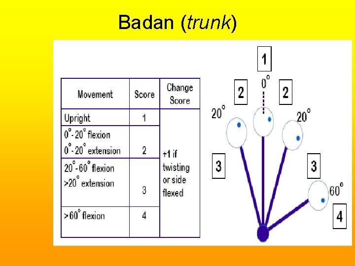 Badan (trunk) 